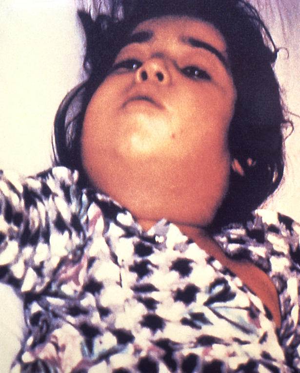 Жас корей порно